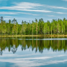 Mild in het wild compassiewandeling